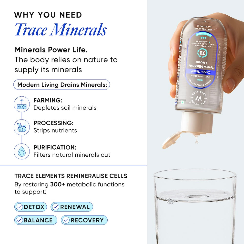 Trace Mineral Drops (ConcenTrace®) | 70+ Ionic Minerals & Magnesium | 40 Servings