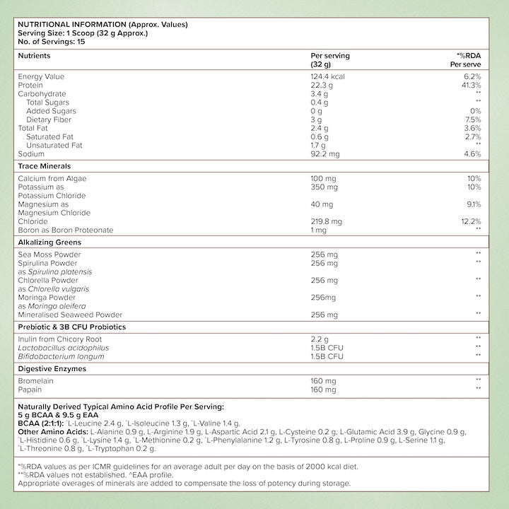 Vegan protein belgian dark chocolate ingredient list