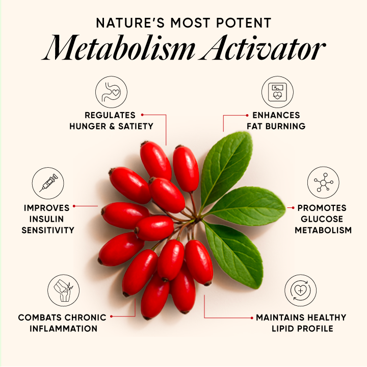 metabolism activator